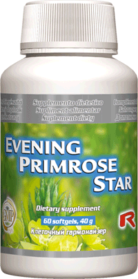 EVENING PRIMROSE