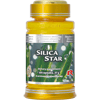 SILICA STAR - mehr