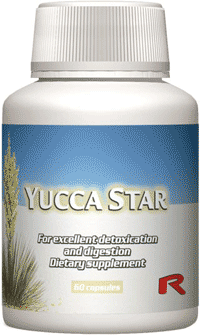 YUCCA STAR