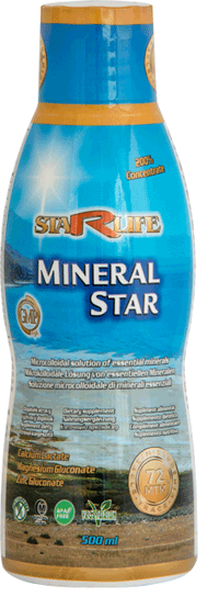 MINERAL STAR - 500 ml