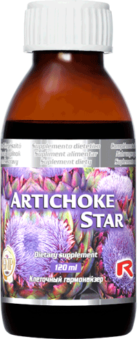 ARTICHOKE STAR