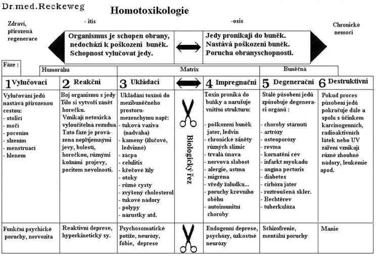 Homotoxicology Chart