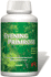 STARLIFE - EVENING PRIMROSE